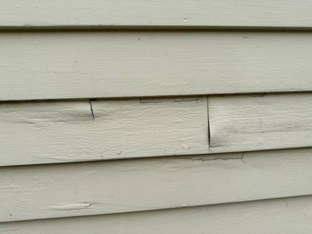 Best Custom Siding Design  in Roseburg, OR